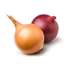 Wholesale 10kg bag red yellow fresh onion to Malaysia